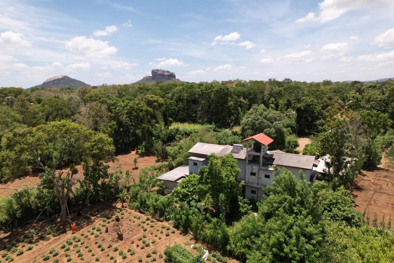 Sigiriya Sun Shine Villa Buitenkant foto