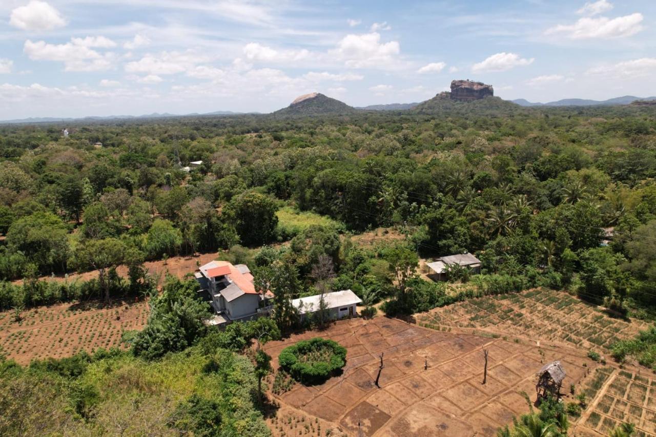 Sigiriya Sun Shine Villa Buitenkant foto