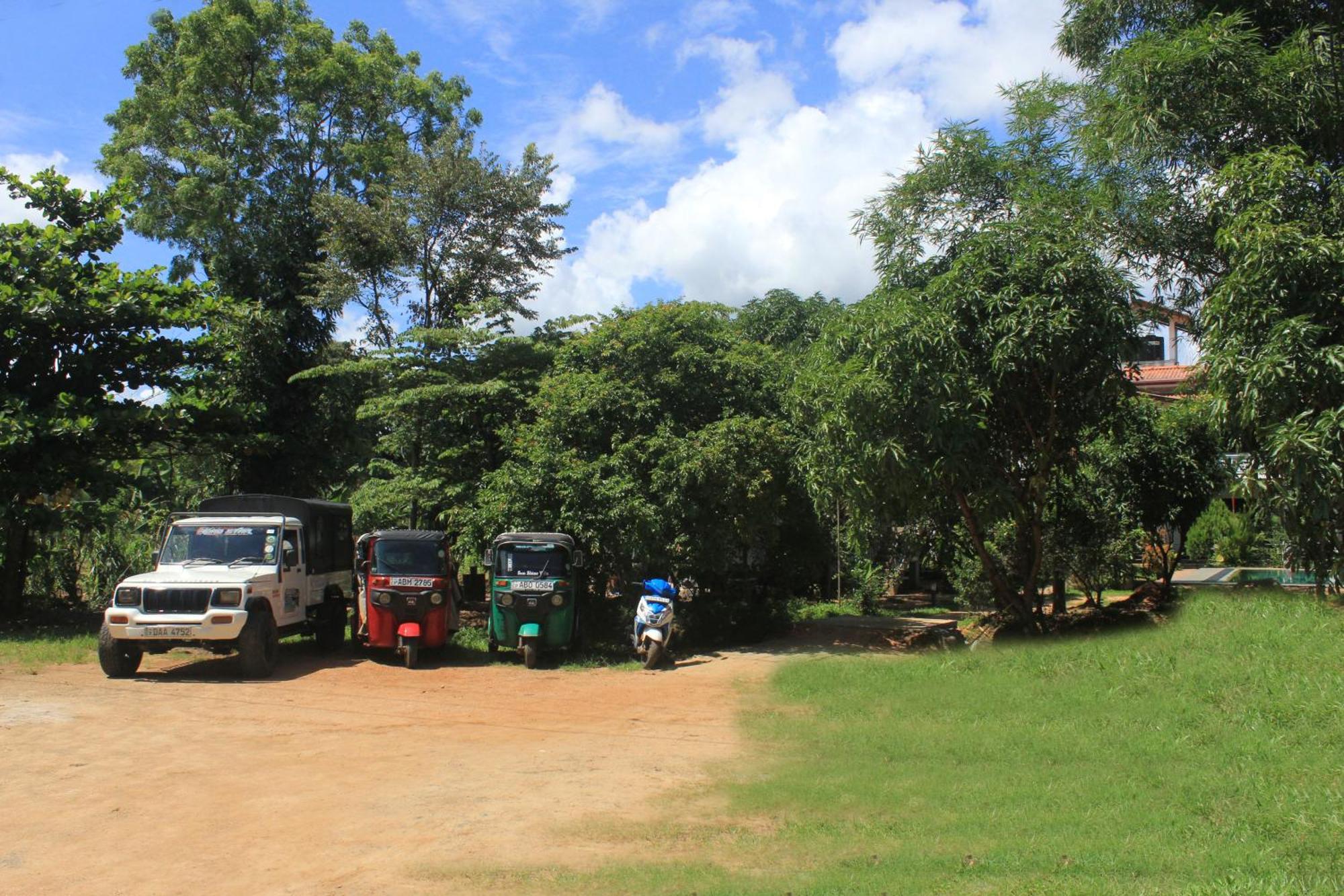 Sigiriya Sun Shine Villa Buitenkant foto